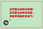 正宗霍山米斛石斛苗(正宗霍山米斛石斛苗，带回家种植养生益气！)