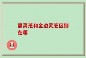 黑灵芝和金边灵芝区别在哪