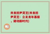 共青团尹灵芝(共青团尹灵芝：立足青年基层，建功新时代)