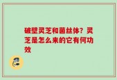 破壁灵芝和菌丝体？灵芝是怎么来的它有何功效