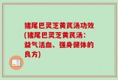 猪尾巴灵芝黄芪汤功效(猪尾巴灵芝黄芪汤：益气活血、强身健体的良方)