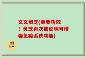 文文灵芝(重要功效 ！灵芝再次被证明可增强免疫系统功能)