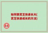 如何使灵芝快速长大(灵芝快速成长的方法)