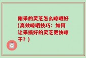 刚采的灵芝怎么晾晒好(高效晾晒技巧：如何让采摘好的灵芝更快晾干？)