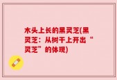 木头上长的黑灵芝(黑灵芝：从树干上开出“灵芝”的体现)