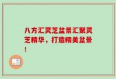 八方汇灵芝盆景汇聚灵芝精华，打造精美盆景！