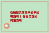 吃破壁灵芝孢子能不能喝酒呢 ？野生灵芝如何泡酒喝