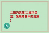 二道沟灵芝(二道沟灵芝：发现珍贵中药资源)