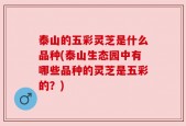 泰山的五彩灵芝是什么品种(泰山生态园中有哪些品种的灵芝是五彩的？)