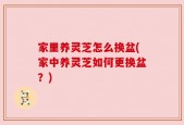 家里养灵芝怎么换盆(家中养灵芝如何更换盆？)