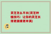 灵芝怎么不长(灵芝种植技巧：让你的灵芝长得更健康更丰满)
