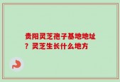 贵阳灵芝孢子基地地址？灵芝生长什么地方