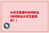 大灵芝菌摆件如何防虫(如何防虫大灵芝菌摆件？)