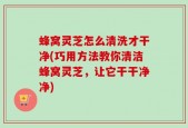 蜂窝灵芝怎么清洗才干净(巧用方法教你清洁蜂窝灵芝，让它干干净净)
