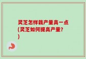 灵芝怎样栽产量高一点(灵芝如何提高产量？)
