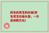 野生的灵芝的价格(野生灵芝价格大涨，一斤卖到数万元)