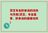 灵芝冬虫野参汤的功效与作用(灵芝、冬虫夏草、野参汤的健康功效)
