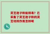 灵芝孢子粉能排毒？已采集了灵芝孢子粉的灵芝功效作用怎样呢