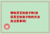 哪收灵芝和孢子粉(收获灵芝和孢子粉的方法及注意事项)