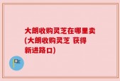 大朗收购灵芝在哪里卖(大朗收购灵芝 获得新进路口)
