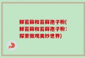 鲜苔藓和苔藓孢子粉(鲜苔藓和苔藓孢子粉：探索微观美妙世界)