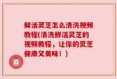 鲜活灵芝怎么清洗视频教程(清洗鲜活灵芝的视频教程，让你的灵芝健康又美味！)
