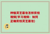 种植灵芝菌包怎样剪枝视频(学习视频：如何正确剪枝灵芝菌包)