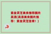 紫金灵芝美食推荐图片高清(高清美食图片推荐：紫金灵芝佳肴！)