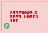 灵芝孢子粉像沙砾_灵芝孢子粉：沙砾般的珍贵草药