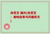 肉灵芝 图片(肉灵芝：美味佳肴与药膳良方)