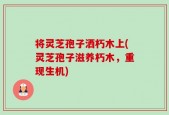 将灵芝孢子洒朽木上(灵芝孢子滋养朽木，重现生机)