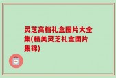 灵芝高档礼盒图片大全集(精美灵芝礼盒图片集锦)