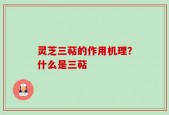 灵芝三萜的作用机理？什么是三萜