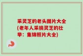 采灵芝的老头图片大全(老年人采摘灵芝的壮举：集锦照片大全)