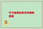 竹子能栽培灵芝吗视频教程