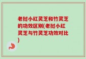老挝小红灵芝和竹灵芝的功效区别(老挝小红灵芝与竹灵芝功效对比)