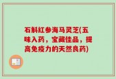石斛红参海马灵芝(五味入药，宝藏佳品，提高免疫力的天然良药)
