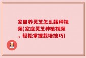 家里养灵芝怎么栽种视频(家庭灵芝种植视频，轻松掌握栽培技巧)