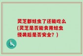 灵芝都蛀虫了还能吃么(灵芝是否能食用蛀虫侵袭后是否安全？)