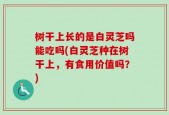 树干上长的是白灵芝吗能吃吗(白灵芝种在树干上，有食用价值吗？)