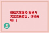 柑桔灵芝图片(柑橘与灵芝完美结合，惊艳美味！)