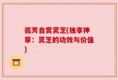 孤芳自赏灵芝(独享神草：灵芝的功效与价值)