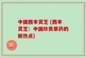 中国西丰灵芝 (西丰灵芝：中国珍贵草药的新热点)