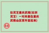 捡灵芝重庆武隆(捡到灵芝！一对夫妻在重庆武隆山区意外富起来)