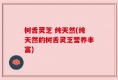 树舌灵芝 纯天然(纯天然的树舌灵芝营养丰富)