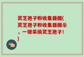 灵芝孢子粉收集器图(灵芝孢子粉收集器图示，一键采摘灵芝孢子！)
