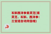 石斛西洋参紫灵芝(紫灵芝、石斛、西洋参：三宝结合功效倍增)
