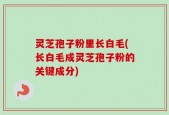 灵芝孢子粉里长白毛(长白毛成灵芝孢子粉的关键成分)