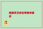 西藏灵芝桥在哪里啊最近