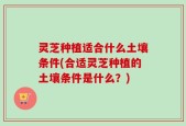 灵芝种植适合什么土壤条件(合适灵芝种植的土壤条件是什么？)